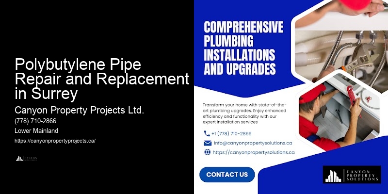 Cost of Polybutylene Pipe Replacement Polybutylene Pipe Repair and Replacement in Surrey