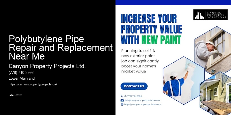 Polybutylene Pipe Solutions Polybutylene Pipe Repair and Replacement Near Me