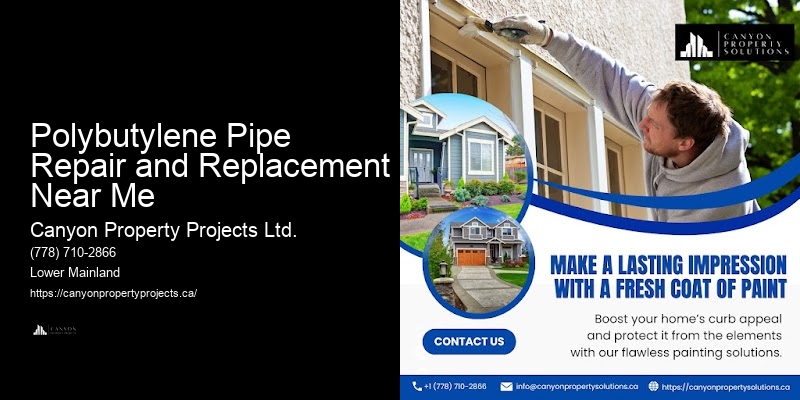 Polybutylene Pipe Upgrade and Repair Polybutylene Pipe Repair and Replacement Near Me