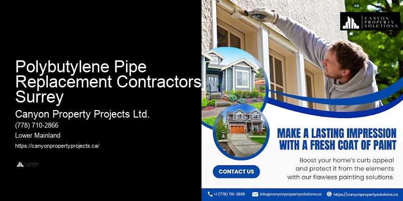 Best-Rated Polybutylene Pipe Replacement Contractors Near Me