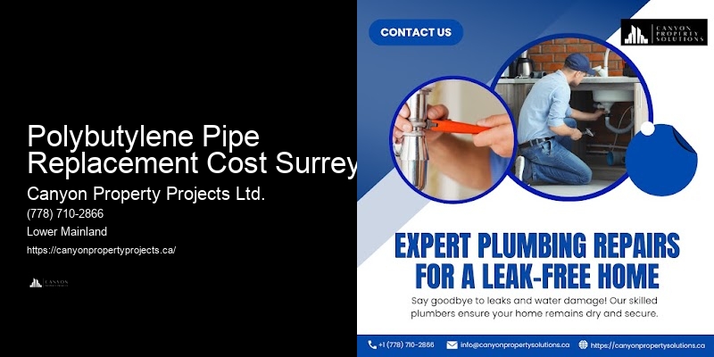Fast Polybutylene Plumbing Services Polybutylene Pipe Replacement Cost Surrey