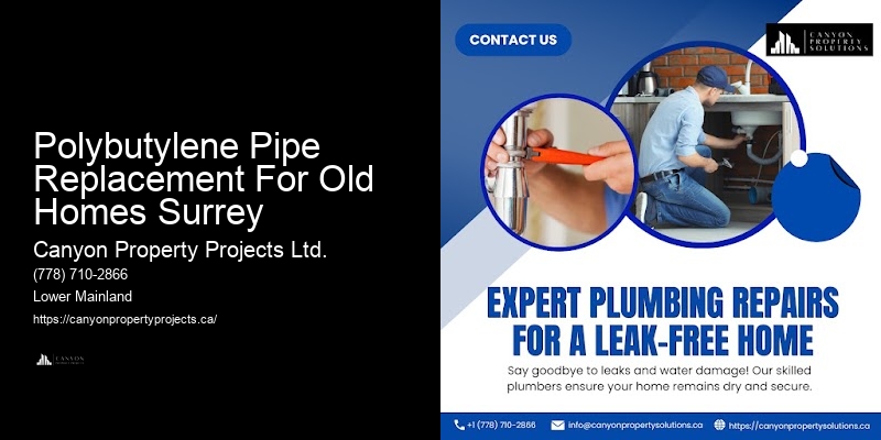 Detailed Guide to Polybutylene Pipe Replacement Services Near Me