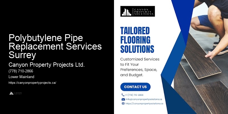 Detailed Polybutylene Replacement Service Polybutylene Pipe Replacement Services Surrey
