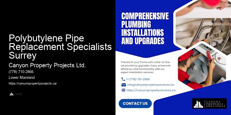 Affordable Polybutylene Pipe Services Polybutylene Pipe Replacement Specialists Surrey