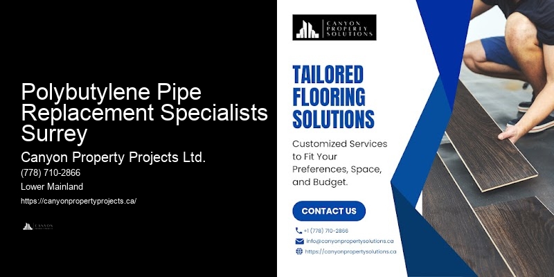 Polybutylene Pipe Preventive Maintenance Polybutylene Pipe Replacement Specialists Surrey