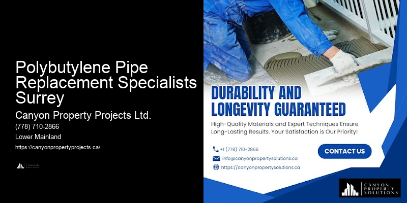 Polybutylene Pipe Replacement Specialists Surrey Polybutylene Replacement for Multi-Unit Buildings