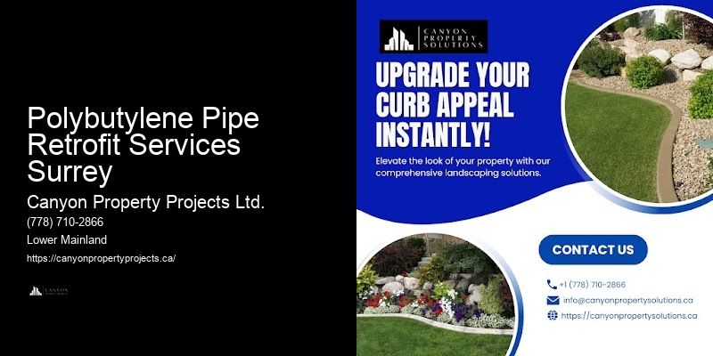 Safe and Effective Polybutylene Replacement Polybutylene Pipe Retrofit Services Surrey