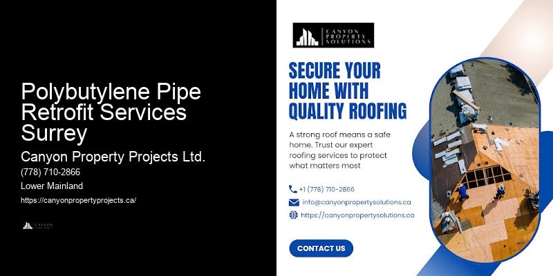 Quality Polybutylene Plumbing Replacement at Competitive Prices