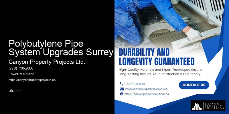 Polybutylene Plumbing Experts with Reviews Polybutylene Pipe System Upgrades Surrey