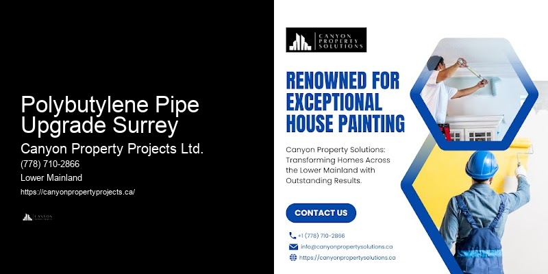 Polybutylene Pipe System Installation Polybutylene Pipe Upgrade Surrey