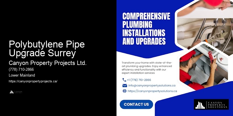Polybutylene Pipe Upgrade Services Polybutylene Pipe Upgrade Surrey