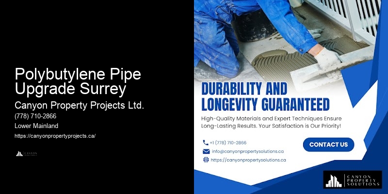 Polybutylene Plumbing Systems Polybutylene Pipe Upgrade Surrey