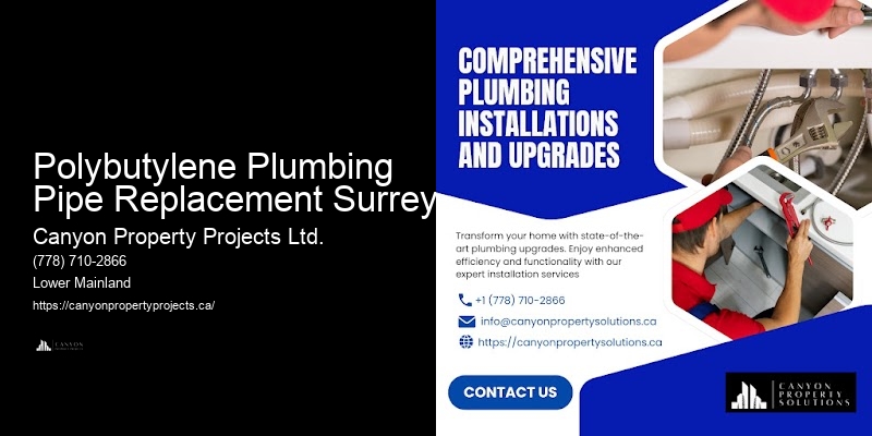 Quick Response Polybutylene Pipe Replacement Polybutylene Plumbing Pipe Replacement Surrey