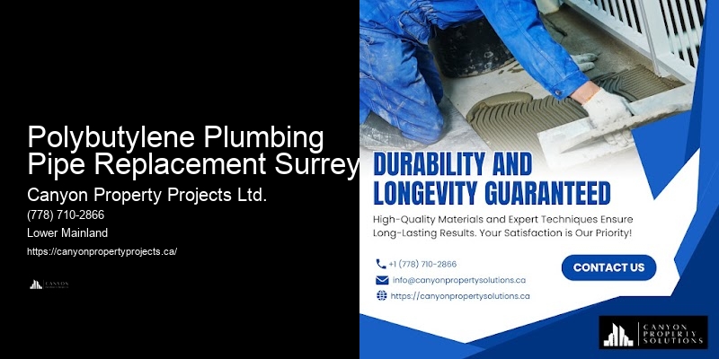 Polybutylene Pipe Replacement and Repair Polybutylene Plumbing Pipe Replacement Surrey