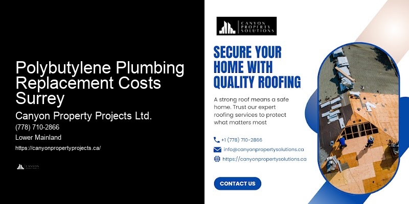 Polybutylene Pipe Leak Repair and Replacement Polybutylene Plumbing Replacement Costs Surrey
