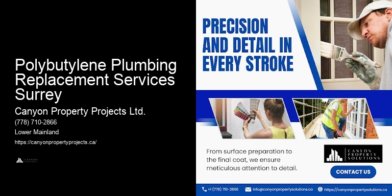 Expert Polybutylene Plumbing Polybutylene Plumbing Replacement Services Surrey