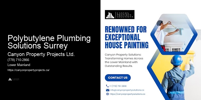 Quality Polybutylene Pipe Replacement Professionals Polybutylene Plumbing Solutions Surrey