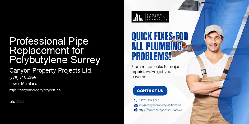 Professional Replacement for Polybutylene Systems Professional Pipe Replacement for Polybutylene Surrey