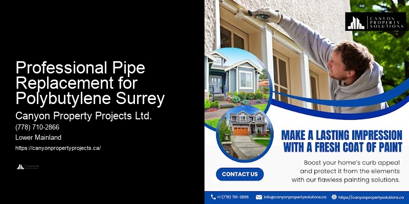 Polybutylene Pipe Management Services Professional Pipe Replacement for Polybutylene Surrey