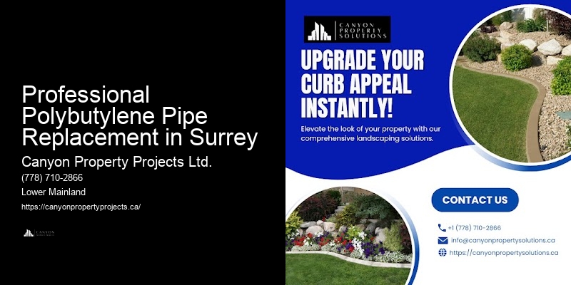 Professional Polybutylene Pipe Replacement in Surrey Polybutylene Pipe Replacement Services