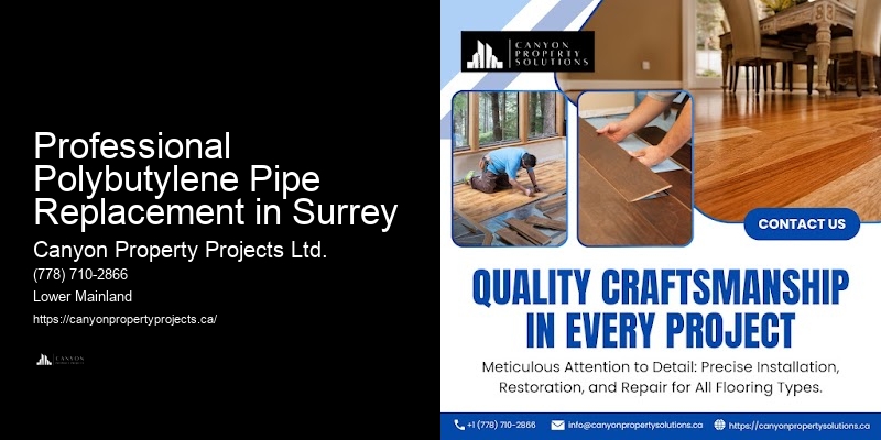 Polybutylene Plumbing Costs Professional Polybutylene Pipe Replacement in Surrey