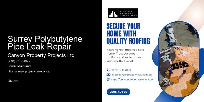 Top Choice for Polybutylene Pipe Replacement Surrey Polybutylene Pipe Leak Repair