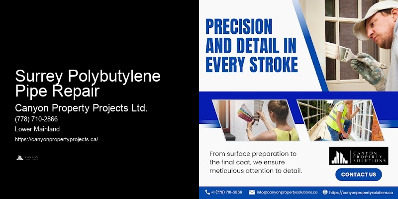 Reliable Polybutylene Plumbing Replacement Services Surrey Polybutylene Pipe Repair