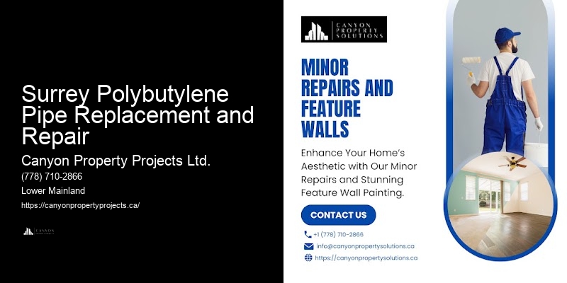 Polybutylene Pipe Fitting Services Surrey Polybutylene Pipe Replacement and Repair