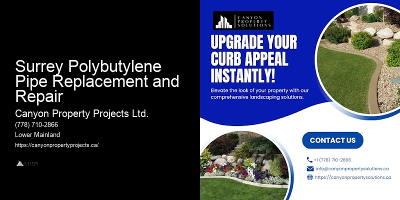 Polybutylene Pipe Assessment Services Surrey Polybutylene Pipe Replacement and Repair
