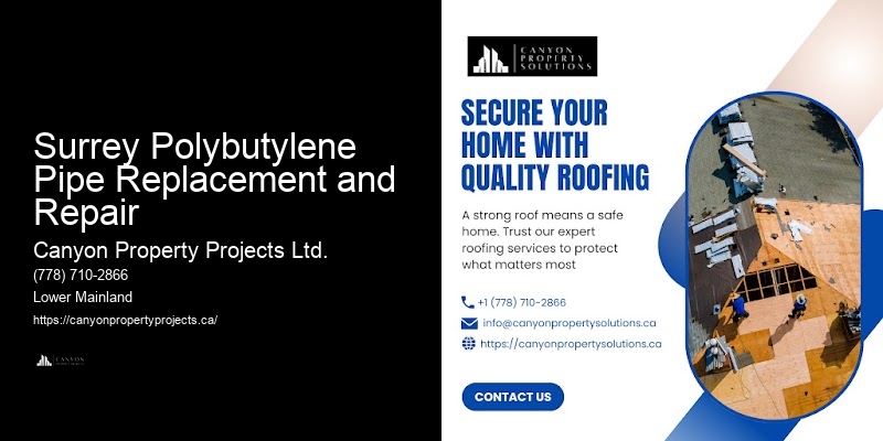 Best Price Polybutylene Pipe Replacement Surrey Polybutylene Pipe Replacement and Repair