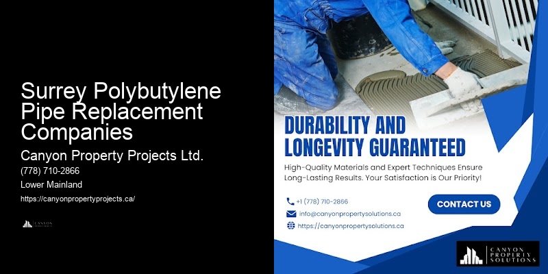 Certified Contractors for Polybutylene Pipe Replacement Near Me