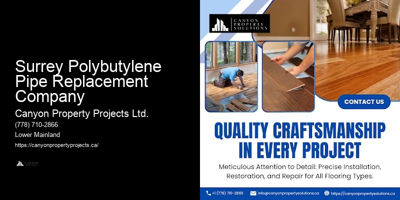 Professional Pipe Replacement for Polybutylene Surrey Polybutylene Pipe Replacement Company