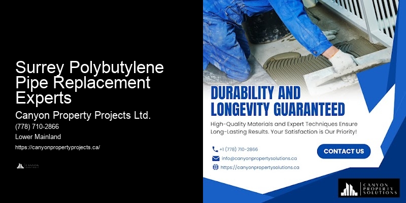 Residential Polybutylene Replacement Services Surrey Polybutylene Pipe Replacement Experts