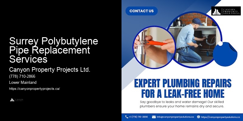 Polybutylene Pipe Replacement Solutions for Homes Surrey Polybutylene Pipe Replacement Services