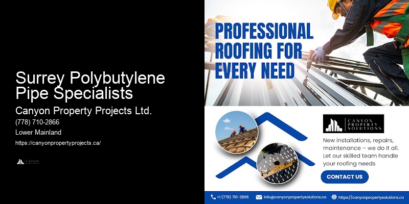 Experienced Polybutylene Pipe Plumbers Surrey Polybutylene Pipe Specialists