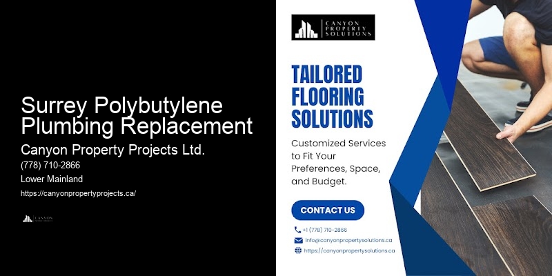 Surrey Polybutylene Plumbing Replacement Polybutylene Pipe Experts