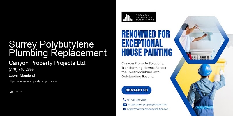 Surrey Polybutylene Plumbing Replacement Residential Polybutylene Pipe Replacement