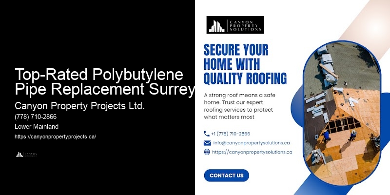 Polybutylene Pipe Inspections Top-Rated Polybutylene Pipe Replacement Surrey