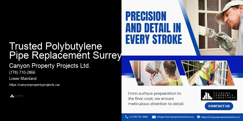 Trusted Polybutylene Pipe Replacement Surrey Polybutylene Pipe Upgrade Services