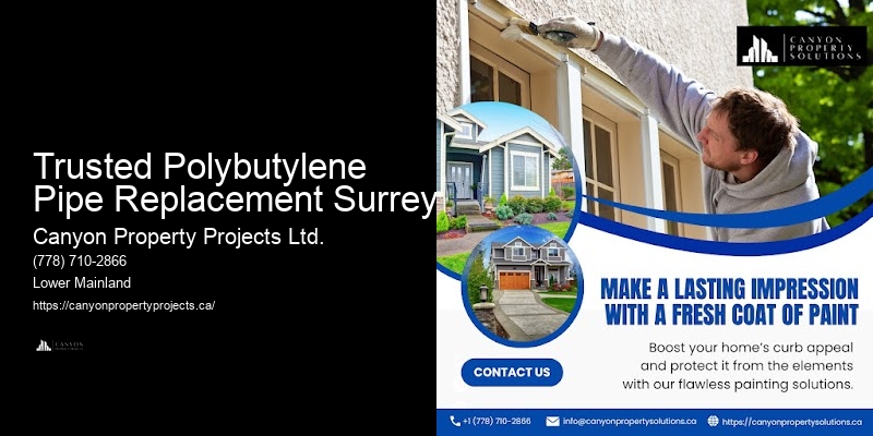 Trusted Polybutylene Pipe Replacement Surrey Certified Plumbers for Polybutylene