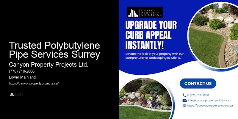 Licensed Polybutylene Plumbing Services Trusted Polybutylene Pipe Services Surrey
