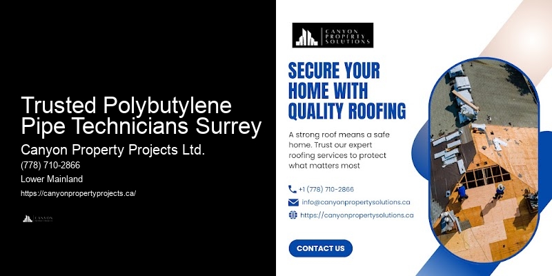 How to Find Reliable Polybutylene Pipe Replacement Near Me
